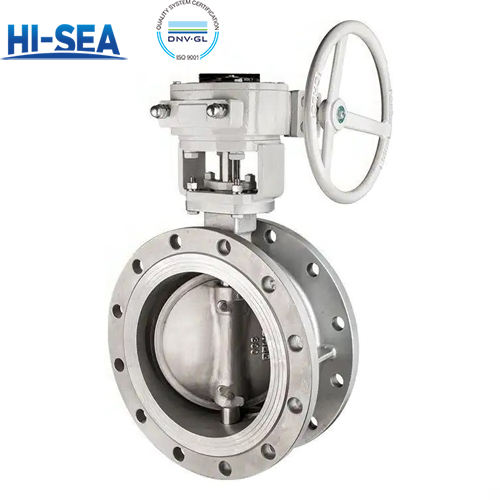 Marine Stainless Steel Flange Butterfly Valve